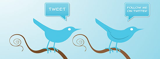 Twitvance, para publicar futuros tweets desde varias cuentas
