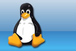 Hosting Linux 10 tips para elegir