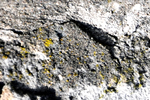 30 texturas de paredes de piedra