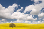 22 fondos de pantalla de paisajes impresionantes