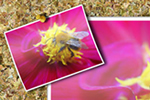 30 acciones para Photoshop realmente útiles