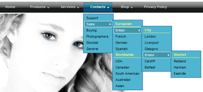 menu-horiz-drop-down6