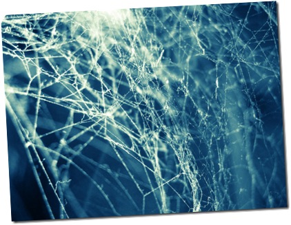 Spiderwebs thumb Colecciones de texturas de Kuschelirmel