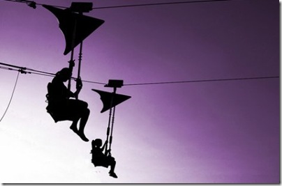 monotone-purple