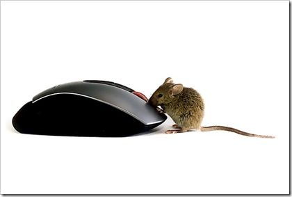 mouse