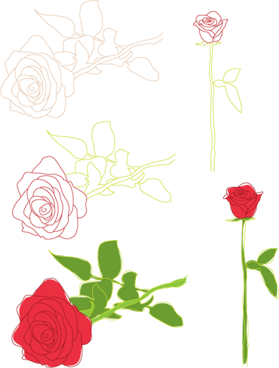 rosas