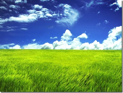nature_nor