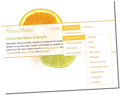 13-menus-js