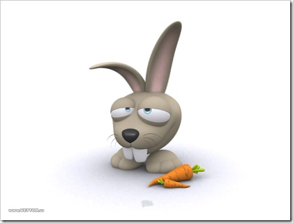 conejo