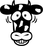 vaca vaca