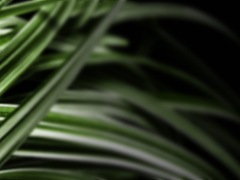 fondo-doble2