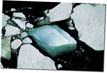 Yann_Arthus-Bertrand32