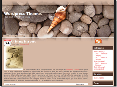 tema-wp-NT-Shell