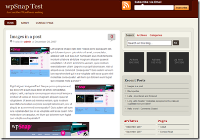 wp-tema-WP-Premium