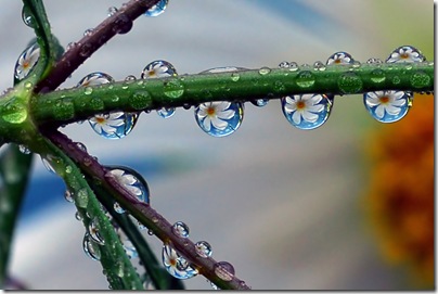 gotas-reflejo
