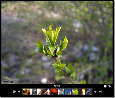 FlashGallery