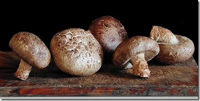 hongos1 thumb Setas, champi&ntilde;ones y blogs