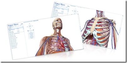 cuerpo-humano