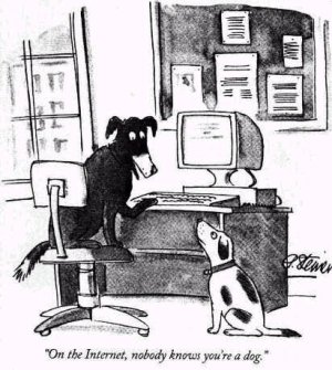 internet_dog.jpg