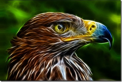 Fractal_eagle_artofpain