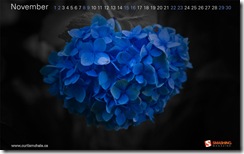 vibrant-blue