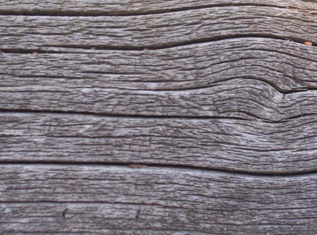 woodtexture4