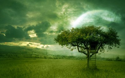 golden_dream_wallpaper_moroka323 golden_dream_wallpaper_moroka323