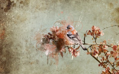 fondos-pantalla-primavera-2