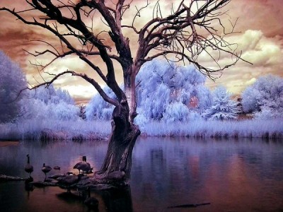 fotos-ir-2