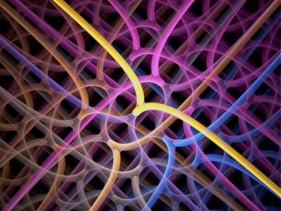 apophysis_connections_gibson125