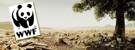 wwf
