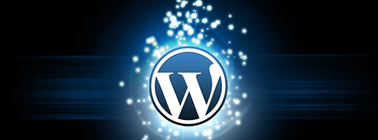 wordpress-logo wordpress-logo