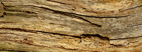 75-texturas-madera-cab1 75-texturas-madera-cab1