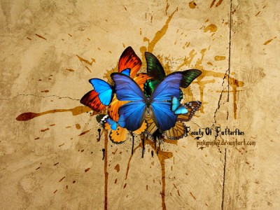 25-fondos-mariposas