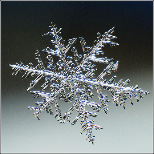 copos-nieve-1 Foto de Flickr, realizada por fwwidall