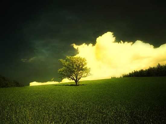 fondo-escrutorio-verde fondo-escrutorio-verde