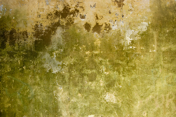 50-texturas